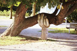 Tree trunk held up by a carved wooden hand